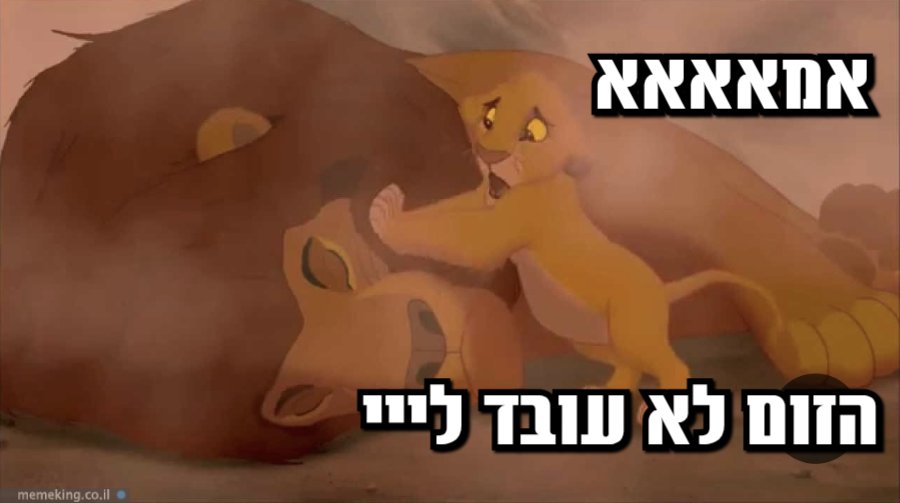 גם הבוקר
