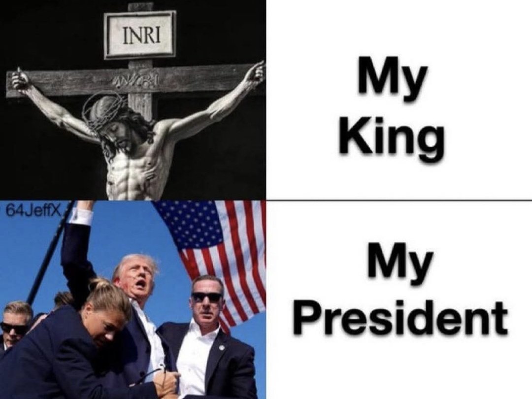 Ginger_333 (@kbk_333) on Twitter photo 