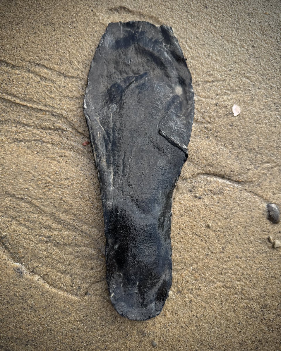 Four Tudor shoe soles, fresh from the Thames mud, and  if you look carefully you can almost see some Tudor toe prints.

#mudlarkingfinds #mudlark #mudlarking