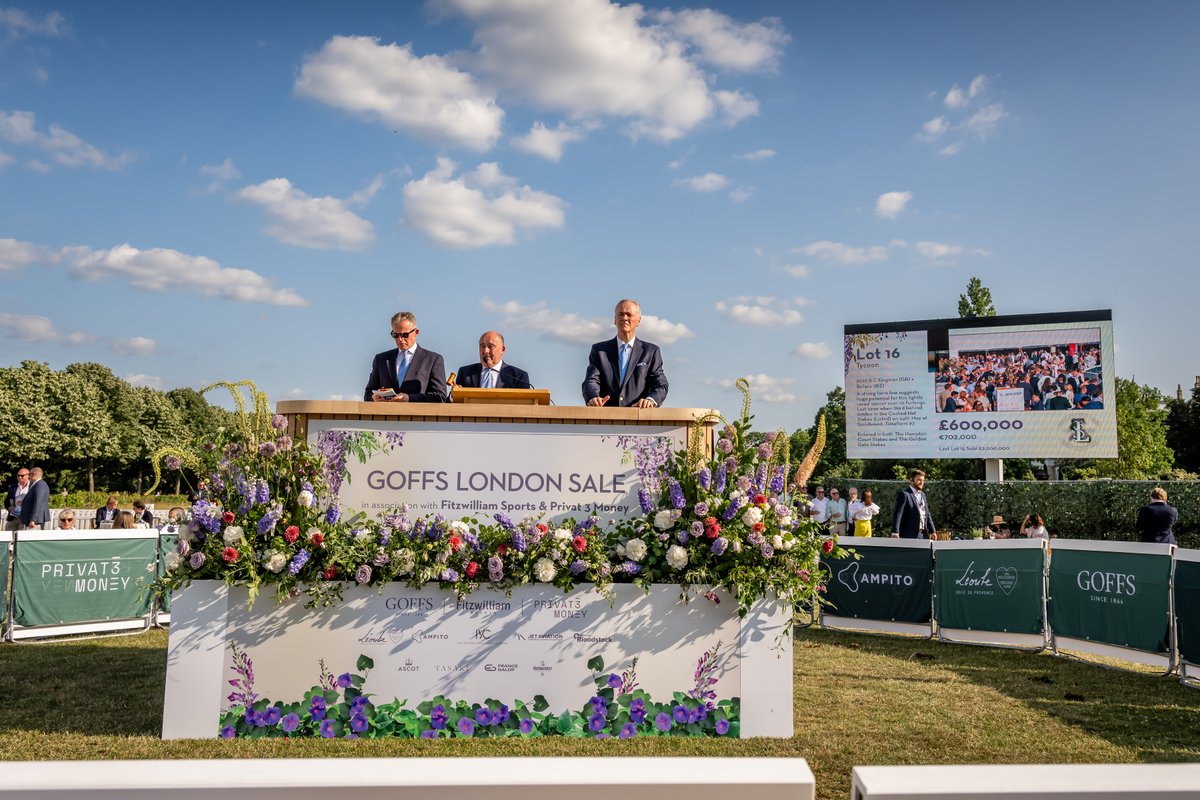 💳 Kia Joorabchian takes aim again as Amo Racing splash £2,000,000 on classy Royal Ascot runner

James Thomas reports from the Goffs London Sale at Kensington Palace Gardens

Read more here 👉 bit.ly/3FZ9ny0