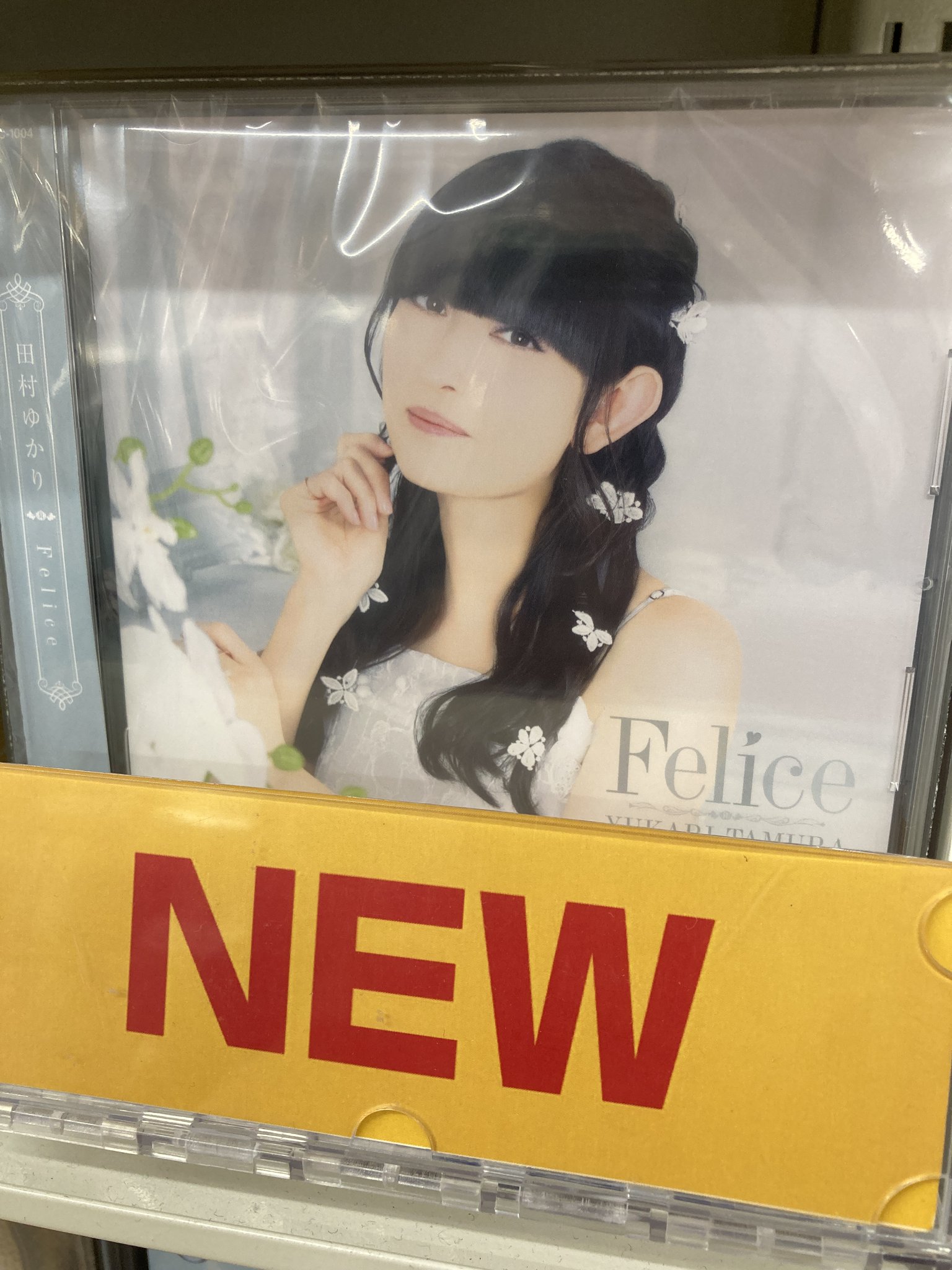本日限定特別最終大特価！！田村ゆかり ブロマイドu0026年賀状