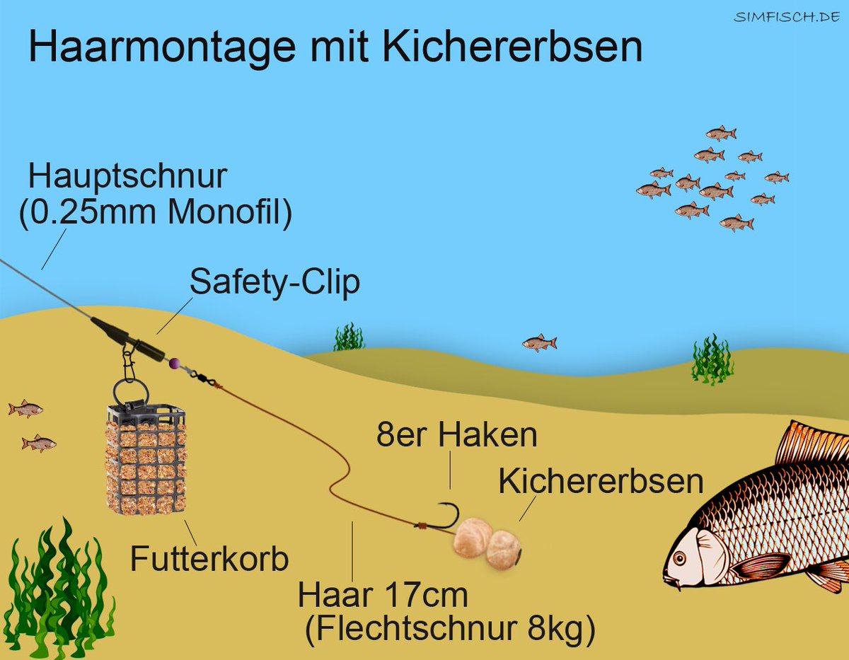 simfisch.de/angeln-mit-erb… 

#AngelnMitErbsen #PeasAsBait #Karpfenangeln #CarpFishing #NaturalBait #FishingWithPeas #Friedfischangeln #MatchFishing #FeederFishing #GreenFishing #Karpfenliebe