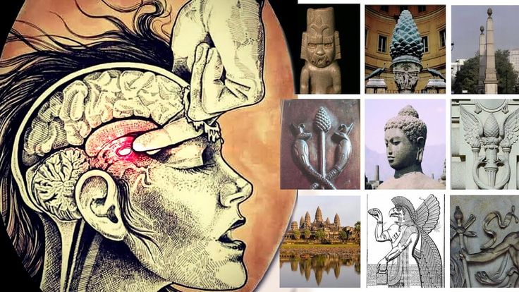 Te estás bloqueando espiritualmente...

Y todo por culpa de lo que estás comiendo.

Estos 5 alimentos activan tu glándula pineal.

Y estos otros 5 la están destruyendo mientras lees esto: 🧵