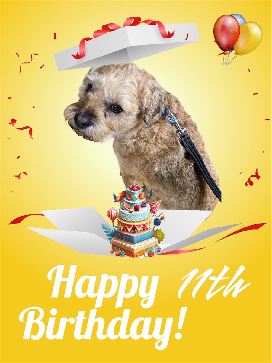 Happy birthday woofs to my pawsome Uncle Alfie 
A true gentleman fur 💕💕🎂🎂🎉🎉🐾🐾 <a href="/lyndaward5/">Dame Aunty Lynda Ward. BTP CBE.</a> #btposse