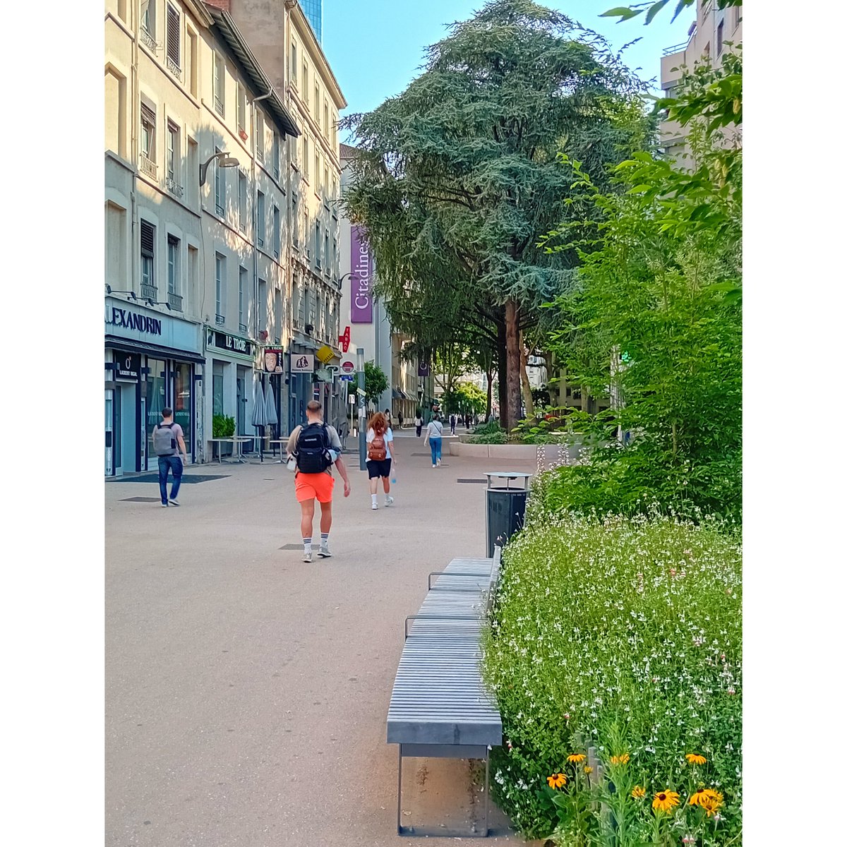 🔴 La diagonale Moncey finalisée en 2023 est un axe piéton majeur emprunté par plusieurs milliers de🚶‍♂️🚶‍♀️👩‍🦽 par jour.
➡️ Il sera intégré dans le futur réseau magistral piéton de la Métropole de Lyon.
➡️ La marche est la 1ère des mobilités urbaines🥇