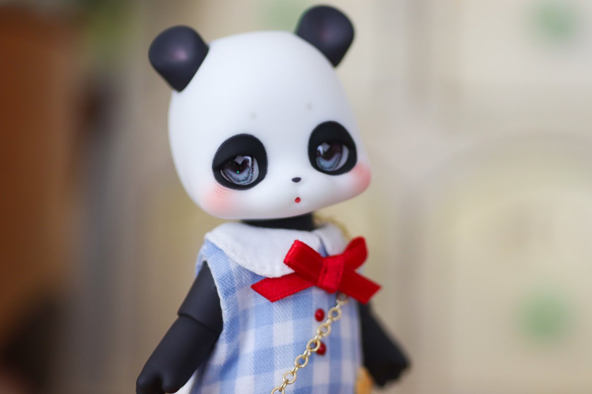 🐼❤🎀🍪

#kumukuku