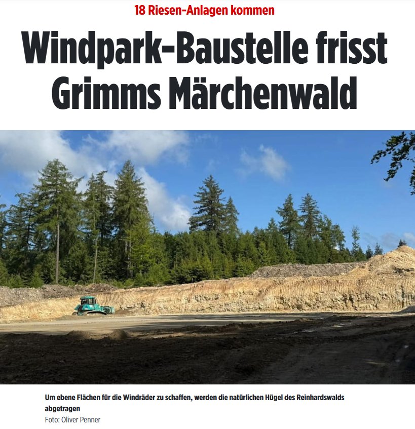 Ich gebe nicht auf "Rettet unseren Wald". #EsReicht.
Mit Reposten für unsere Wälder.🙏🙏🙏