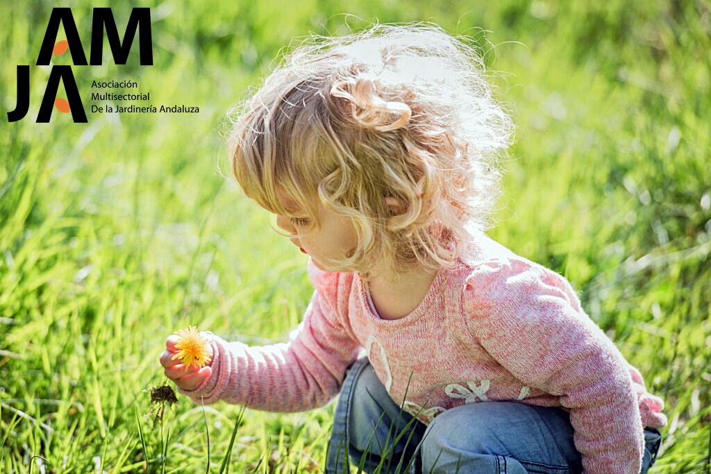 😀QUIEN TIENE UN JARDÍN, TIENE UN TESORO. EN EL DIRECTORIO DE AMJA ESTÁN LOS MEJORES PROFESIONALES

📐Un buen diseño es fundamental a la hora de crear una terraza, jardín o zona verde. De ello va a depender que las plantas se desarrollen adecuadamente y que el mantenimiento sea