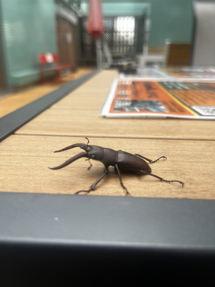 夏を感じた☀️☀️