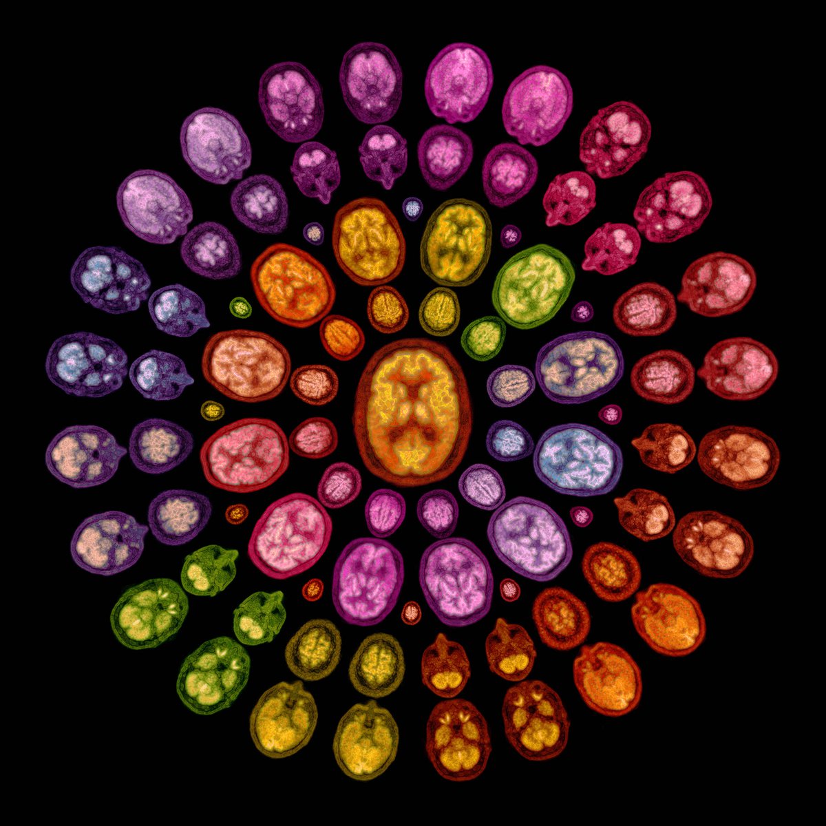 Stunning! 
rafael-diaz.com/Esclimetica-Se…