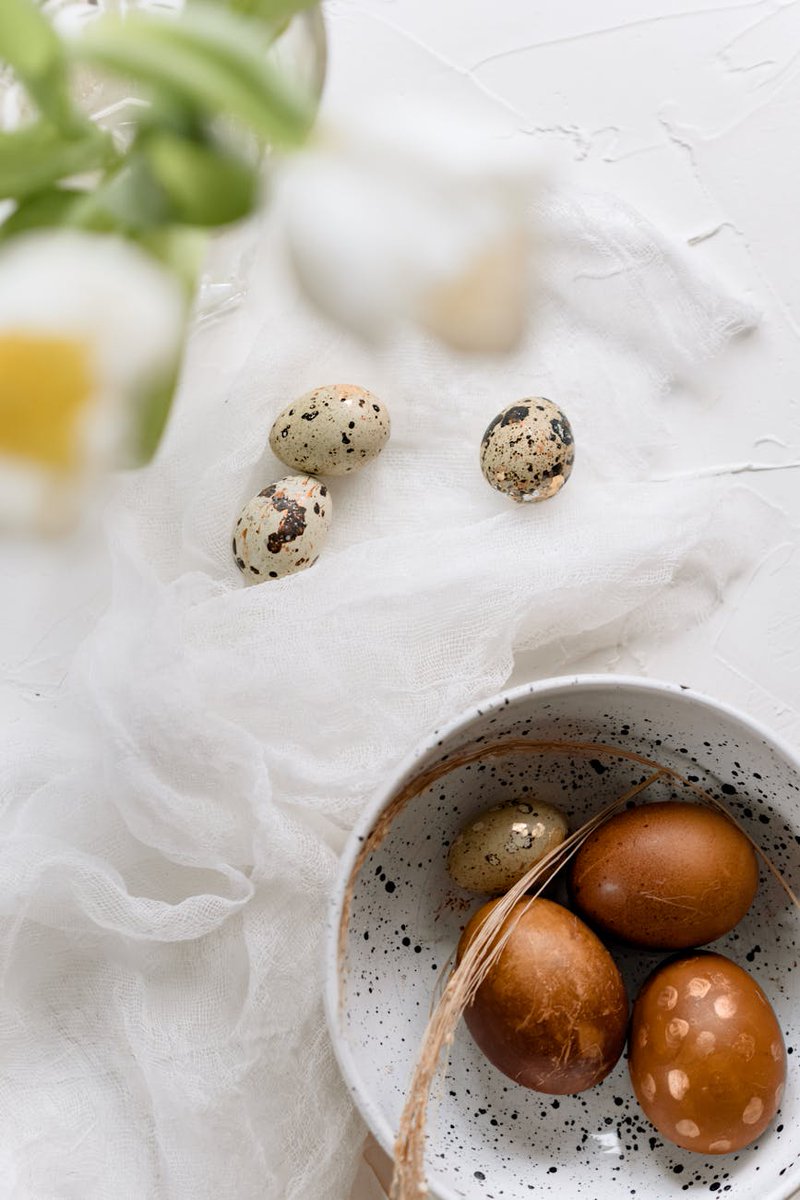 Amber176658595's tweet image. Just finished a stunning Twig_art piece!��✨Twisted branches into a dreamy forest scene. Try using thin wires for delicate details! #TwigArt #NatureCraft #DIYArt