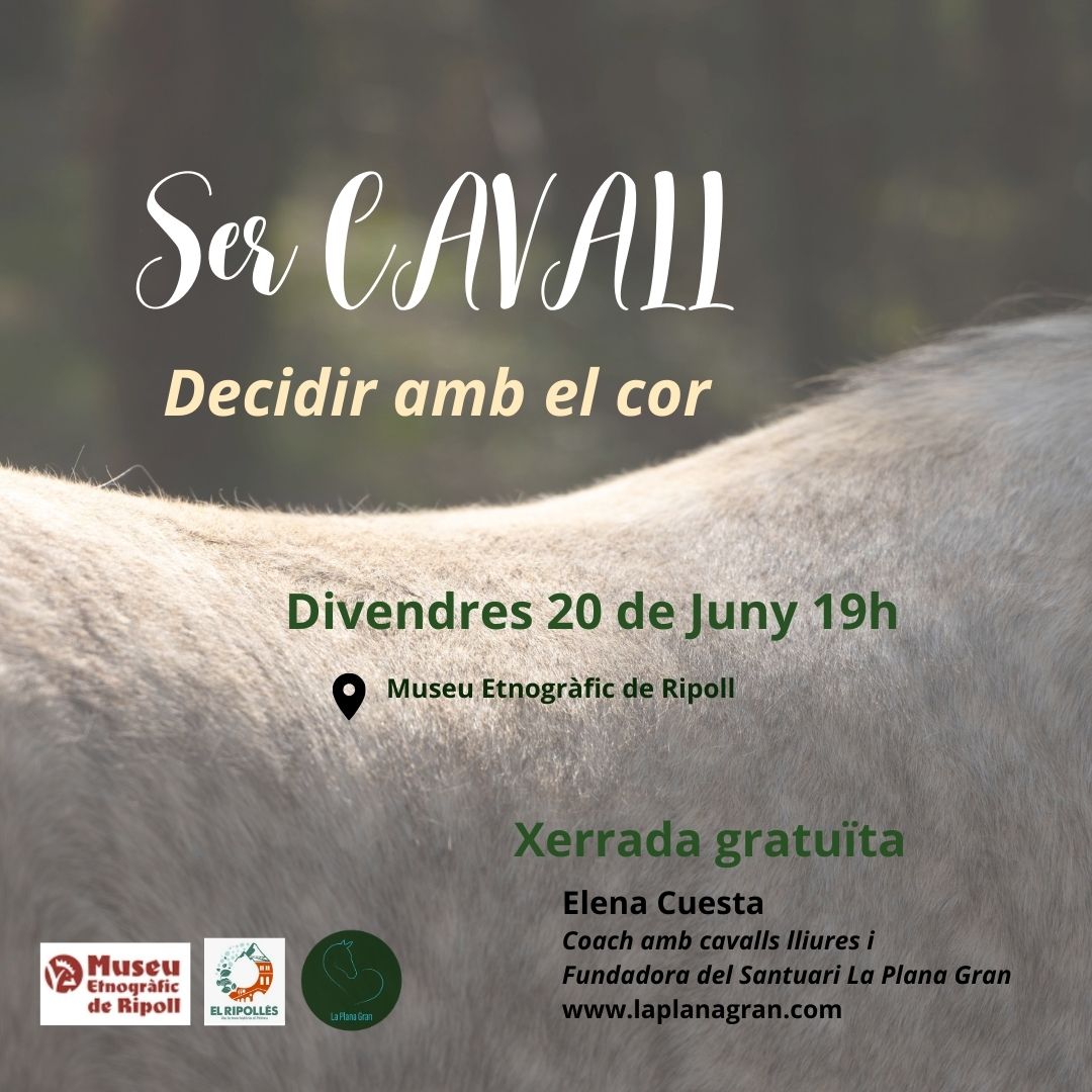 MuseuRipoll 🎗 (@museuripoll) on Twitter photo 📅 20 de juny · 19 h
📍 <a href="/MuseuRipoll/">MuseuRipoll 🎗</a>
🐴 Xerrada "Ser cavall": com els cavalls ens poden ajudar a reconnectar amb la nostra coherència interna.
💓 3 cervells, 1 cor en sintonia.
🎯 Activitats pràctiques per viure-ho.
+info: museuderipoll.org/xerrada-ser-ca…
<a href="/Aj_Ripoll/">Ajuntament de Ripoll</a> <a href="/RipollesTurisme/">Ripollès Turisme</a> 📅 20 de juny · 19 h
📍 <a href="/MuseuRipoll/">MuseuRipoll 🎗</a>
🐴 Xerrada "Ser cavall": com els cavalls ens poden ajudar a reconnectar amb la nostra coherència interna.
💓 3 cervells, 1 cor en sintonia.
🎯 Activitats pràctiques per viure-ho.
+info: museuderipoll.org/xerrada-ser-ca…
<a href="/Aj_Ripoll/">Ajuntament de Ripoll</a> <a href="/RipollesTurisme/">Ripollès Turisme</a>