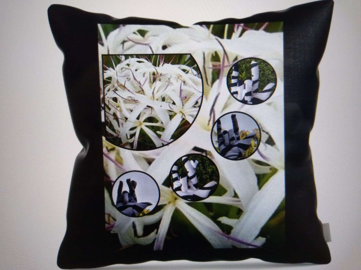 ScavoPetService's tweet image. Sample #photos of more #americansignlanguage #photography #realistic #art  #toss #pillows #totebag #tigerlily #florida #crinum #lily #asl #ily #print #gloves #nature #walks #fineart #deafart #deafartist Go see all #merchandise at theresa-scavo.fineartamerica.com 
🤟😊👍📷👍🙂🦻👍