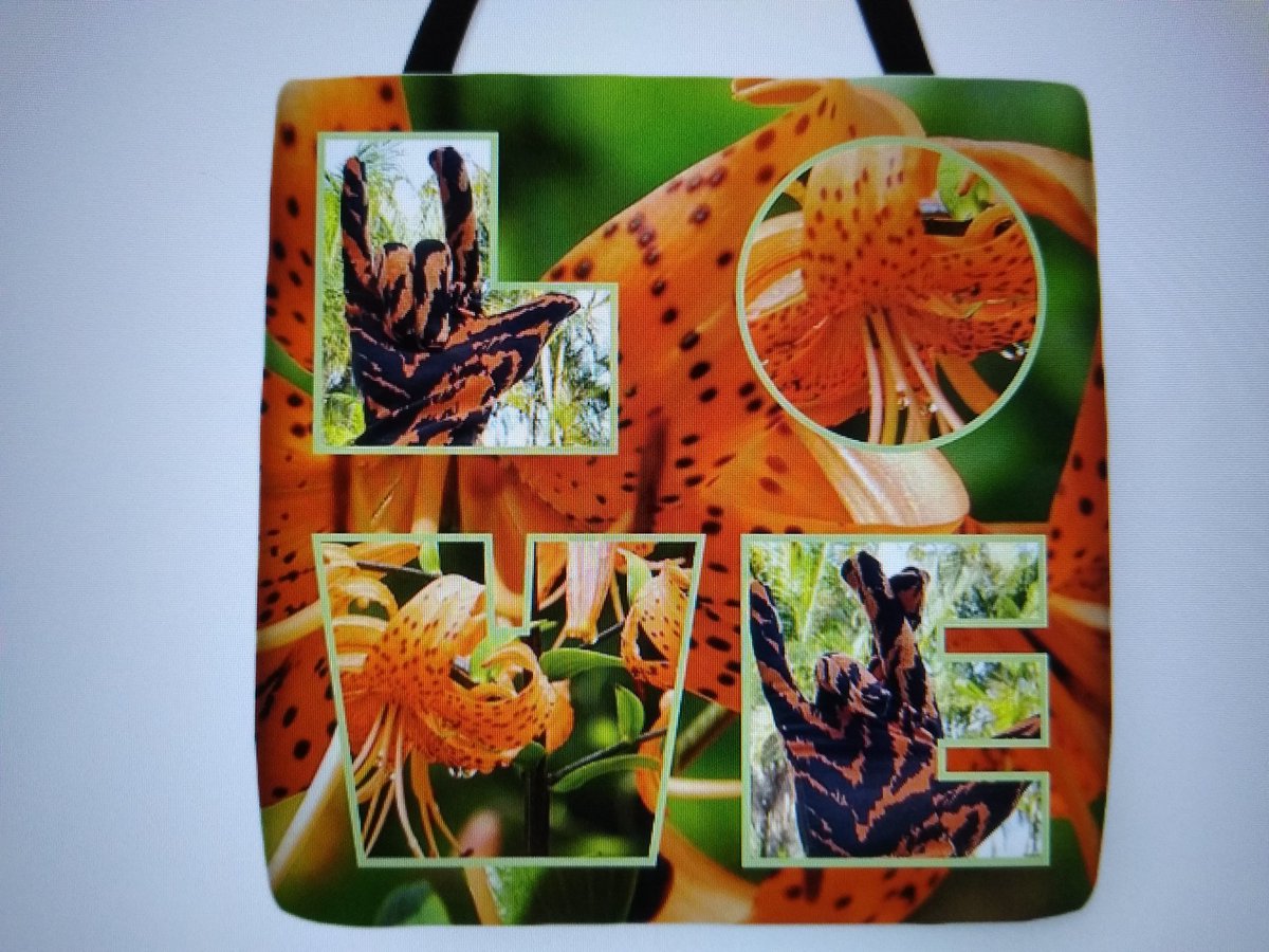 ScavoPetService's tweet image. Sample #photos of more #americansignlanguage #photography #realistic #art  #toss #pillows #totebag #tigerlily #florida #crinum #lily #asl #ily #print #gloves #nature #walks #fineart #deafart #deafartist Go see all #merchandise at theresa-scavo.fineartamerica.com 
🤟😊👍📷👍🙂🦻👍