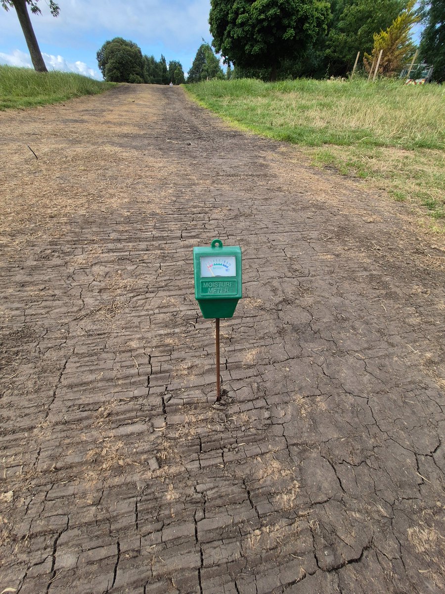 Alice Thompson tweet media