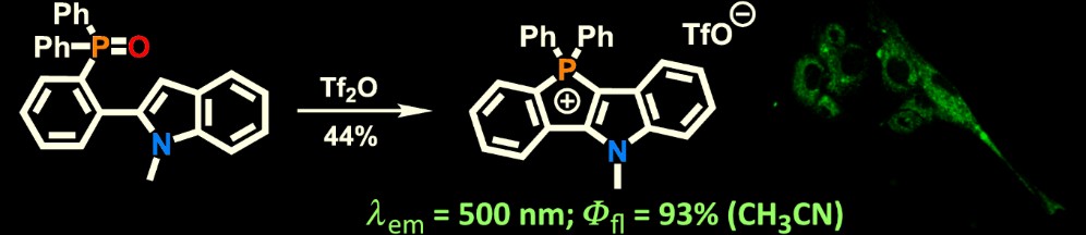 TGryko's tweet image. A straightforward synthetic strategy has now been developed which enables diverse cyclic tetraaryl-phosphonium salts to be made: pubs.rsc.org/en/content/art…