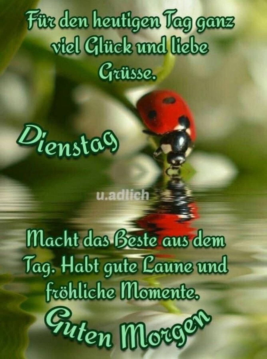 Ich schicke Euch ein Drückerli🫂🥰😘🌞