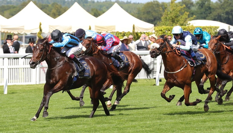 Play Safe TermsApply NAP of the Day: 5/2 Chance To Get Punters Off To A Flyer On Day 1 At Royal Ascot: Our tipster gives his best fancy on the opening day of the 2025 Royal Ascot meeting but who is his NAP of the Day on Tuesday? 
… racingne.ws/wh40 BeGambleAware AD 18+
