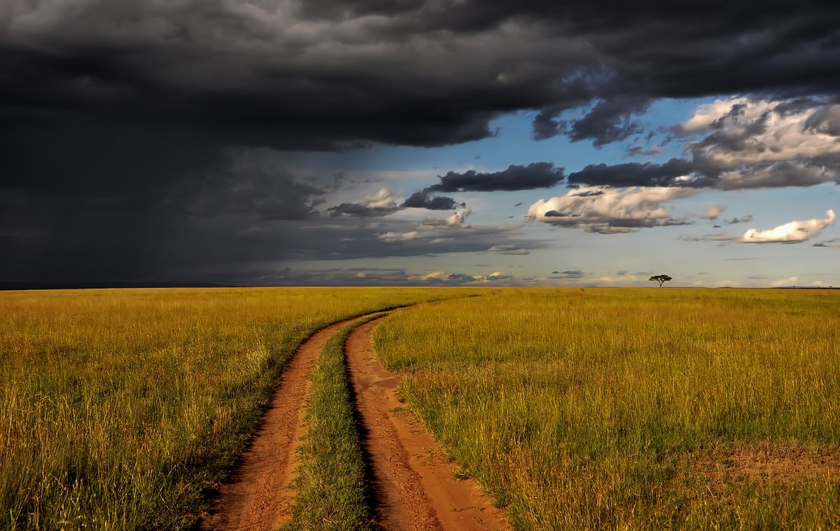 #RecomendaciónViajera "Reserva Natural de Maasai Mara, Kenia", uno de los más espectaculares y más populares parques de África (junto al Serengueti), frecuentemente inmortalizado en películas, como “Memorias de África”. Te lo cuentan en <a href="/minube/">minube</a>  f.mtr.cool/bzzvbmrbnd
