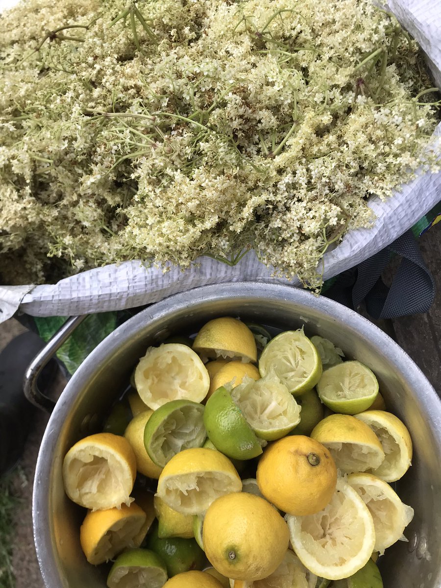 All set for today’s brew of my annual Summer Special 4.0% Elderflower, lemon and lime pale ale 🍺 ☀️🌞