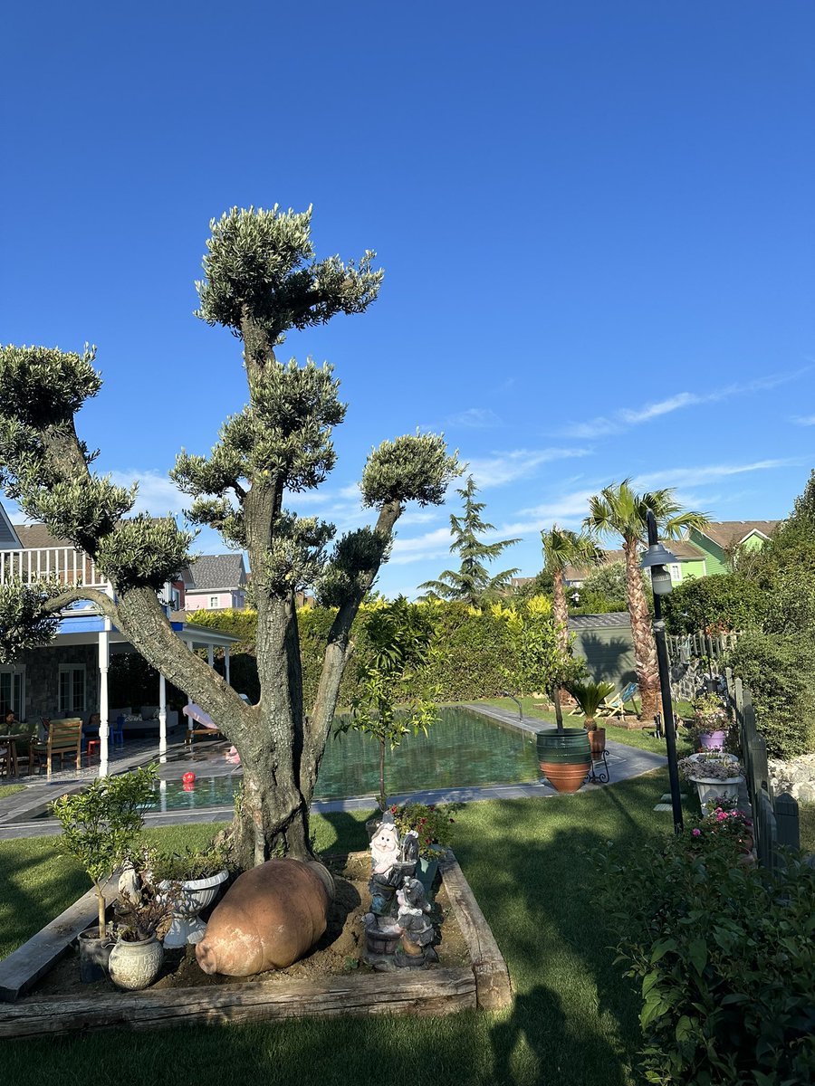 Günaydın ☀️ 
  Her şeyden ve herkesten uzak,huzura ve 
sessizliğe yakın…