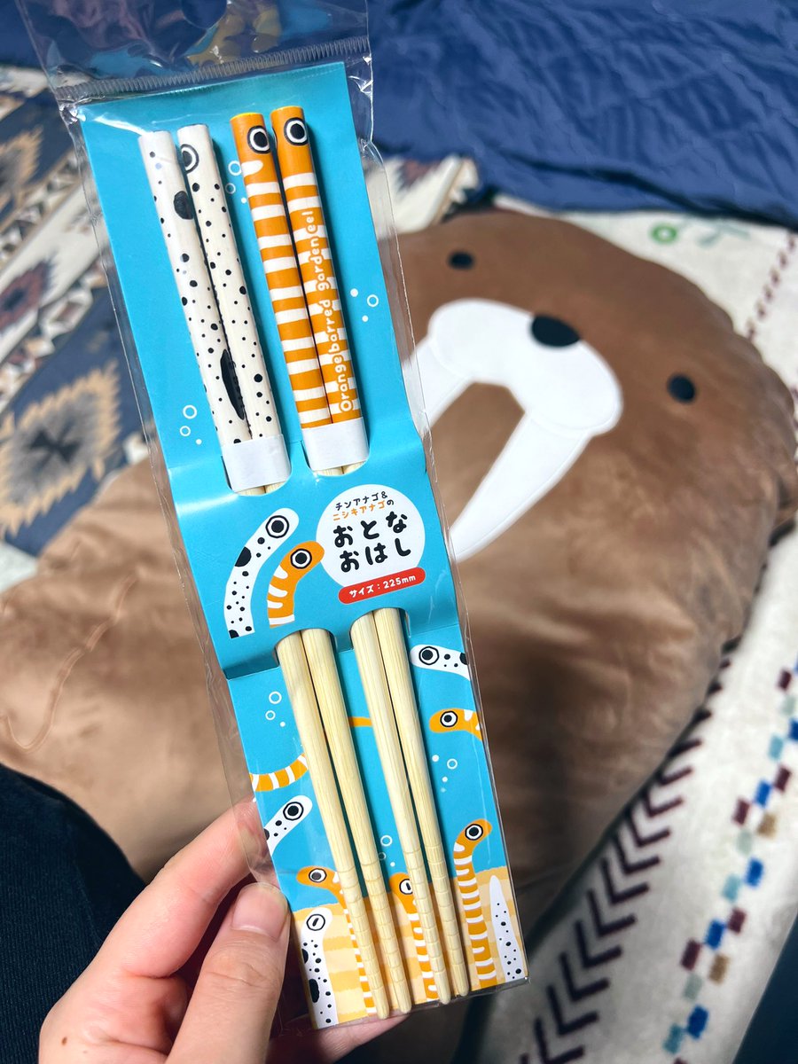 弟から可愛い箸をお土産で貰った！おとなおはし！嬉しい！！
背景に写るセイウチのクッションはサンキで買ったやつ！可愛い！
水族館に行きたい🦭🐬✨