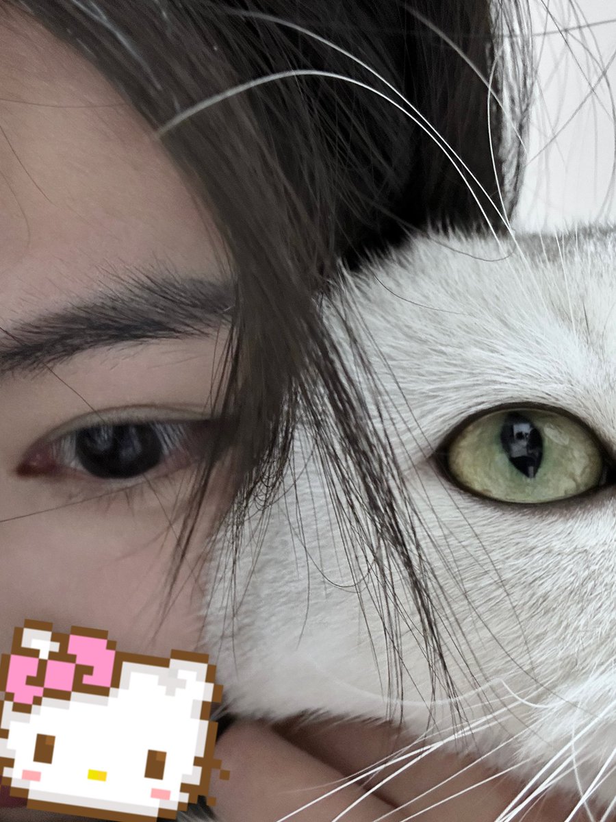 1 gmonad = 1 cat treat  💜

<a href="/monad_xyz/">Monad ⨀</a> <a href="/monad_zw/">Monad 华语社群</a> <a href="/Monad_APAC/">Monad APAC</a>
