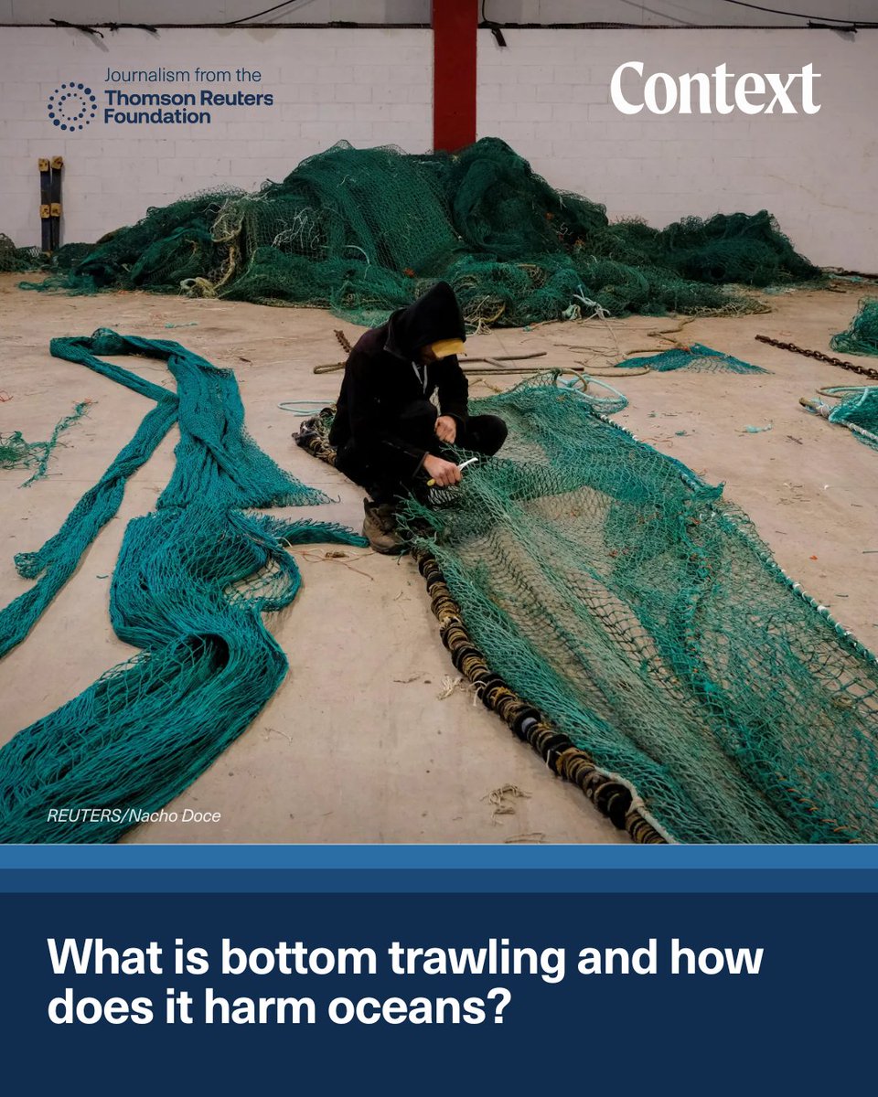 Britain plans to extend a bottom trawling ban as governments ratify global oceans treaty

✍️ Beatrice Tridimas reports

🔗  context.news/nature/what-is…