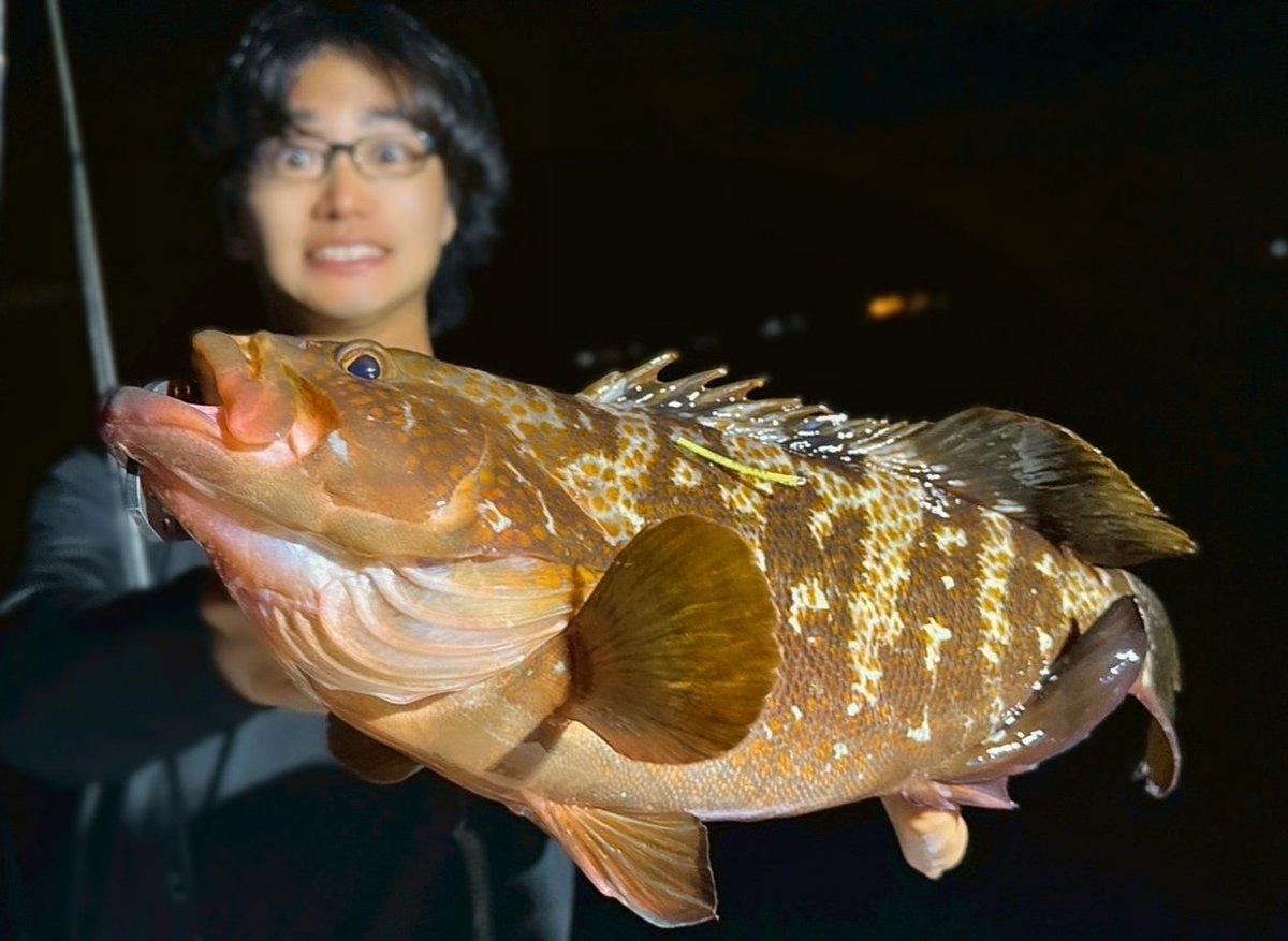 星 直希-Hoshi Naoki-🐟️ (@njangler_ex) on Twitter photo 東京湾奥アコウ!
リリースしました👍
ナイトロックフィッシュ🎣
チャレンジャー募集!
#Salvage釣果 <a href="/wildmonkey0113/">清水優己 (ずーしみ)Salvage</a>
Tag.No: JGS-205221
キジハタ 41cm (2025.6.15) 東京湾奥アコウ!
リリースしました👍
ナイトロックフィッシュ🎣
チャレンジャー募集!
#Salvage釣果 <a href="/wildmonkey0113/">清水優己 (ずーしみ)Salvage</a>
Tag.No: JGS-205221
キジハタ 41cm (2025.6.15)