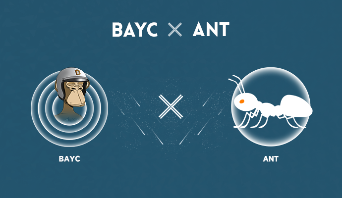 BAYC_CTO tweet media
