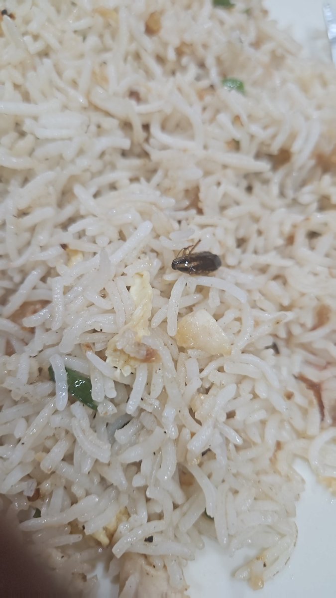 valsonf2's tweet photo. urgency and gravity it deserves.
@fssaiindia @mybmcHealthDept @SwiggyCares @Swiggy https://t.co/YHiLUNGv16