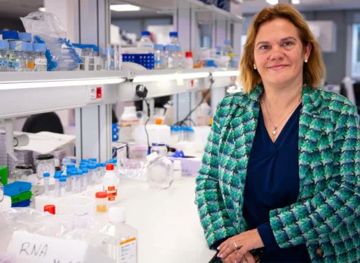 BoschiGimpera's tweet image. #SpinOffUB | 💊 Gate2Brain obté la designació de medicament orfe per part de l’Administració d’Aliments i Medicaments dels Estats Units.

👉 fbg.ub.edu/actualitat/gat…