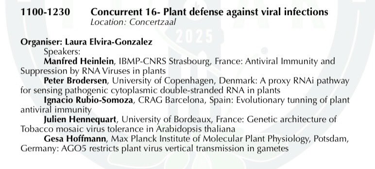 Laura Elvira-González tweet media