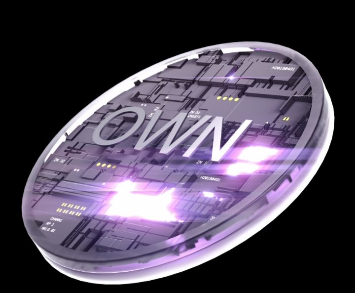 While others build empty L2s hoping for users…

<a href="/own_xyz/">Own Chain</a> silently absorbed 400k
processing $370M+ monthly
tokenizing real assets — live, not promised

this isn’t "adoption"
it’s absorption 👁️

$OWN loading…
#TheyDontKnow #IYKYK