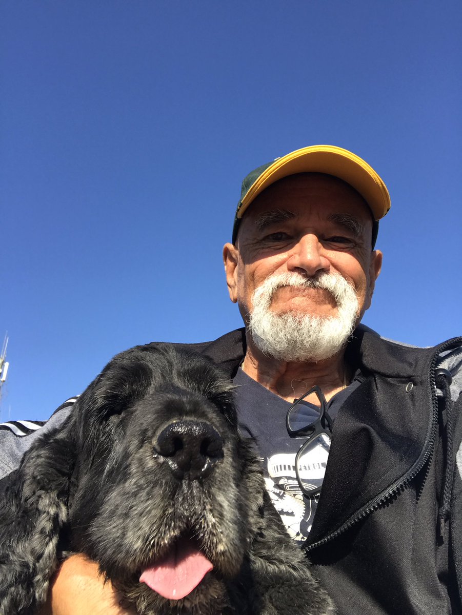 Cathare 11 tweet media