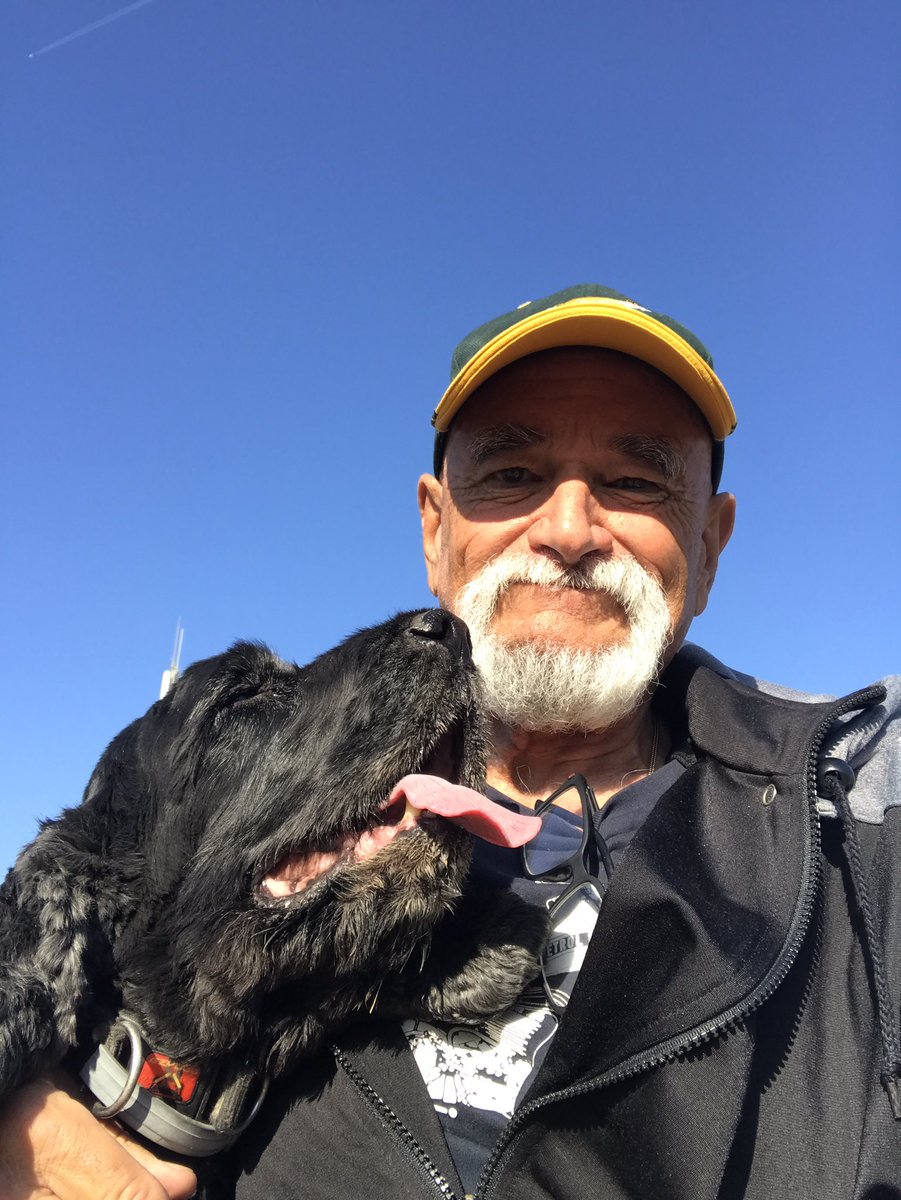 Cathare 11 tweet media