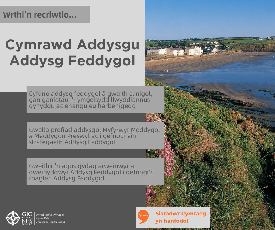 ** Cymrawd Addysgu Addysg Feddygol **

▶️ Cyfuno addysg feddygol â gwaith clinigol, gan ganiatáu i'r ymgeisydd llwyddiannus gynyddu ac ehangu eu harbenigedd

❗️Siaradwr Cymareg yn hanfodol ❗️

I ddarganfod mwy...
biphdd.gig.cymru/gweithio-i-ni/…