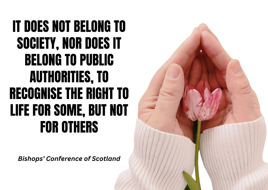 Anthony Horan (@ahoran79) on Twitter photo 