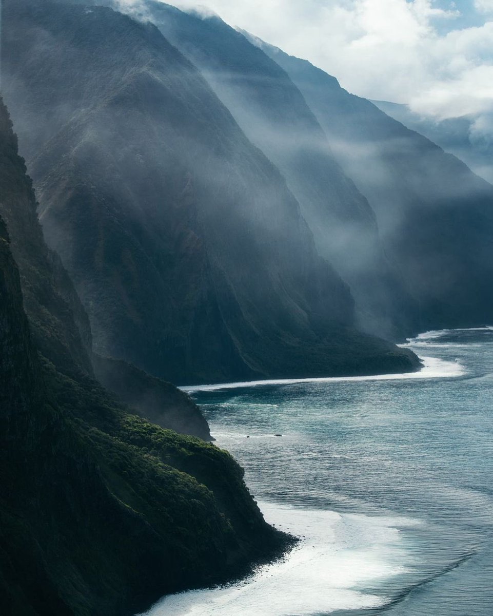earthcurated tweet picture