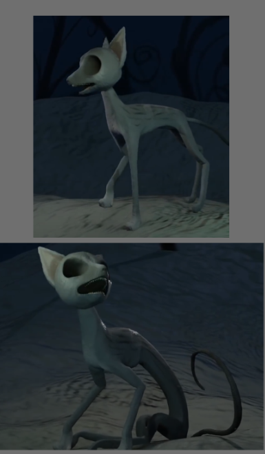 Chikki 🦋 tweet media