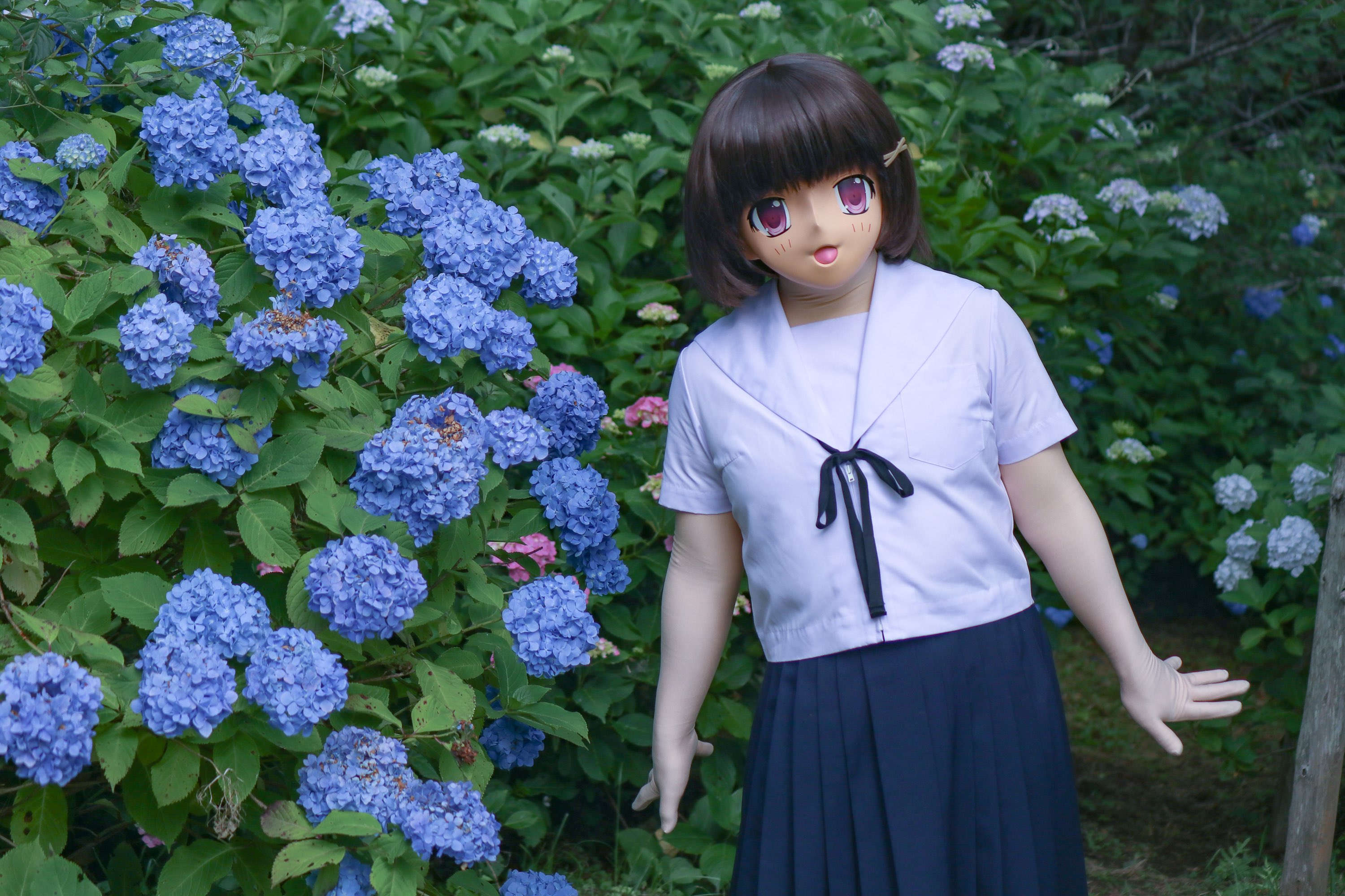 あおい🍠 on X: 