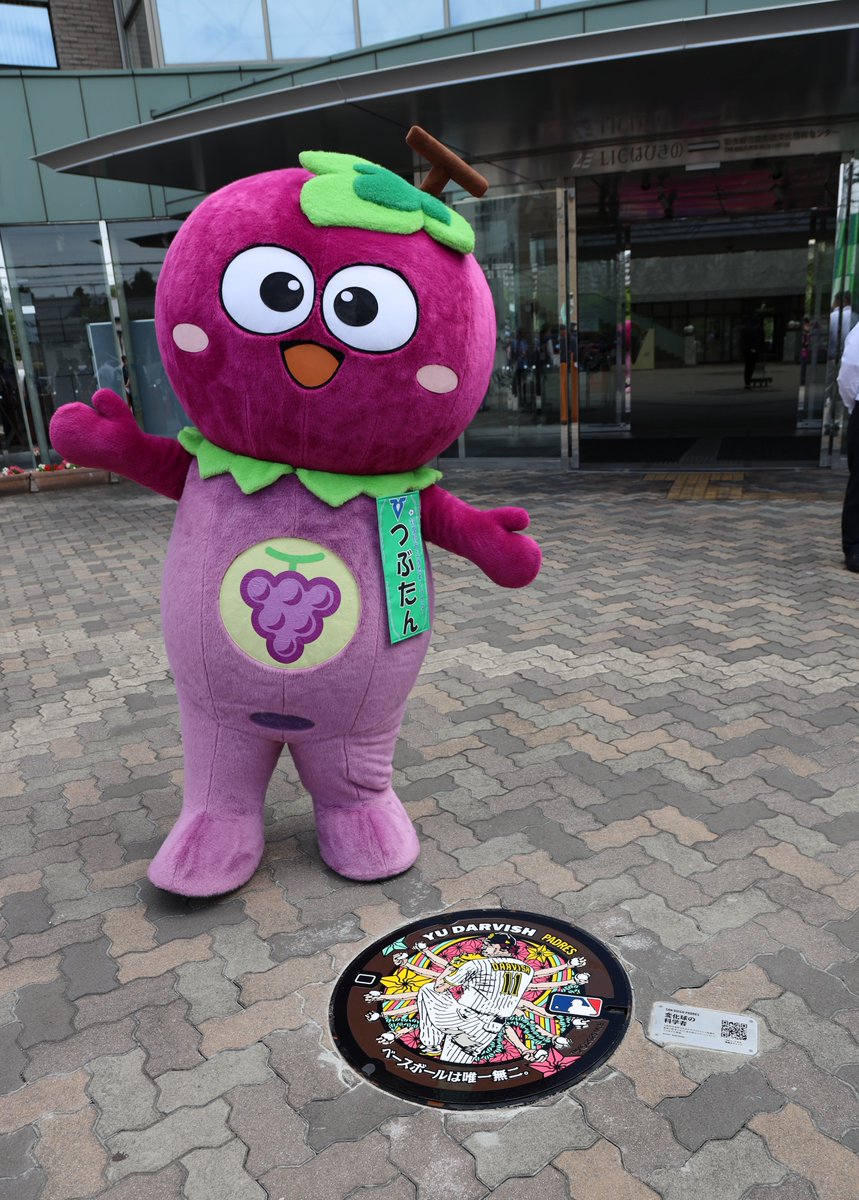 ダルビッシュ有選手のデザインマンホールカバーが設置されたよ📢 日本