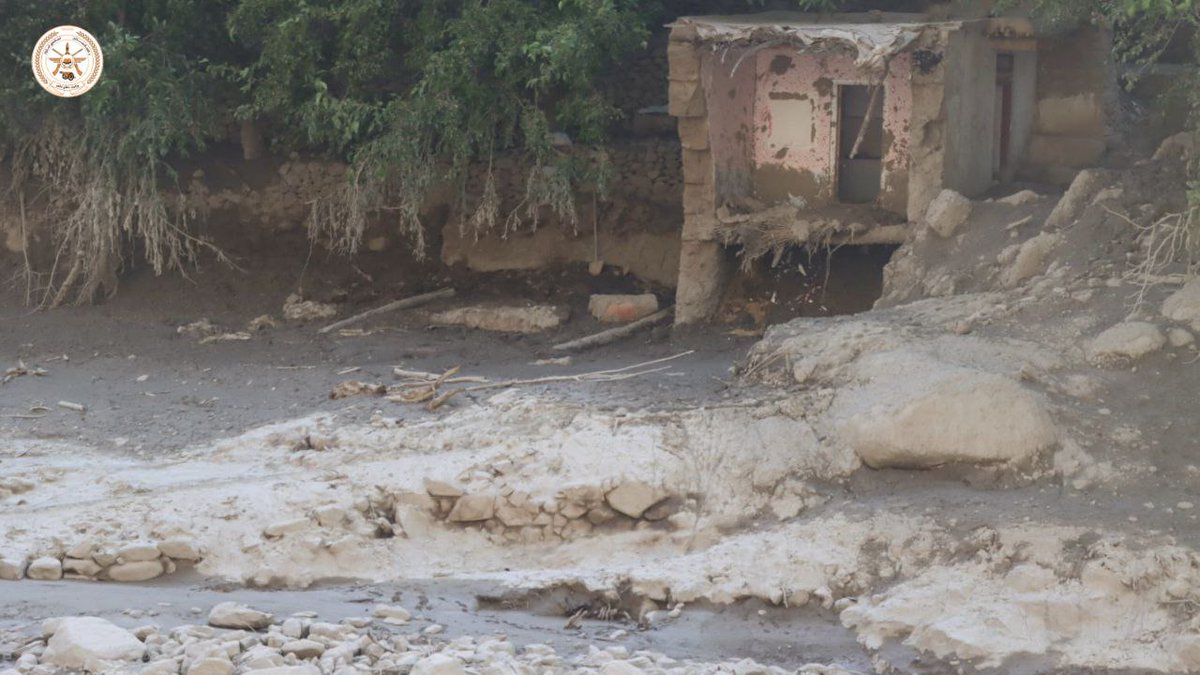 او سيمې څخه ليدنه وکړه. 
قاري محمد شفیق "وثيق" د پل حصار ولسوالۍ ميشتو دفاعي ځواکونو، مسؤلينو او د سیمې مخورو مشرانو او سیلاب ځپلو سره ناسته وکړه؛ همداراز د ځایي مسؤلينو څخه یې مننه وکړه چې د طبیعي بند د ماتیدو له امله د پل حصار ولسوالۍ د نمک درې په تغانک، ترګران او قلات سیمو کې