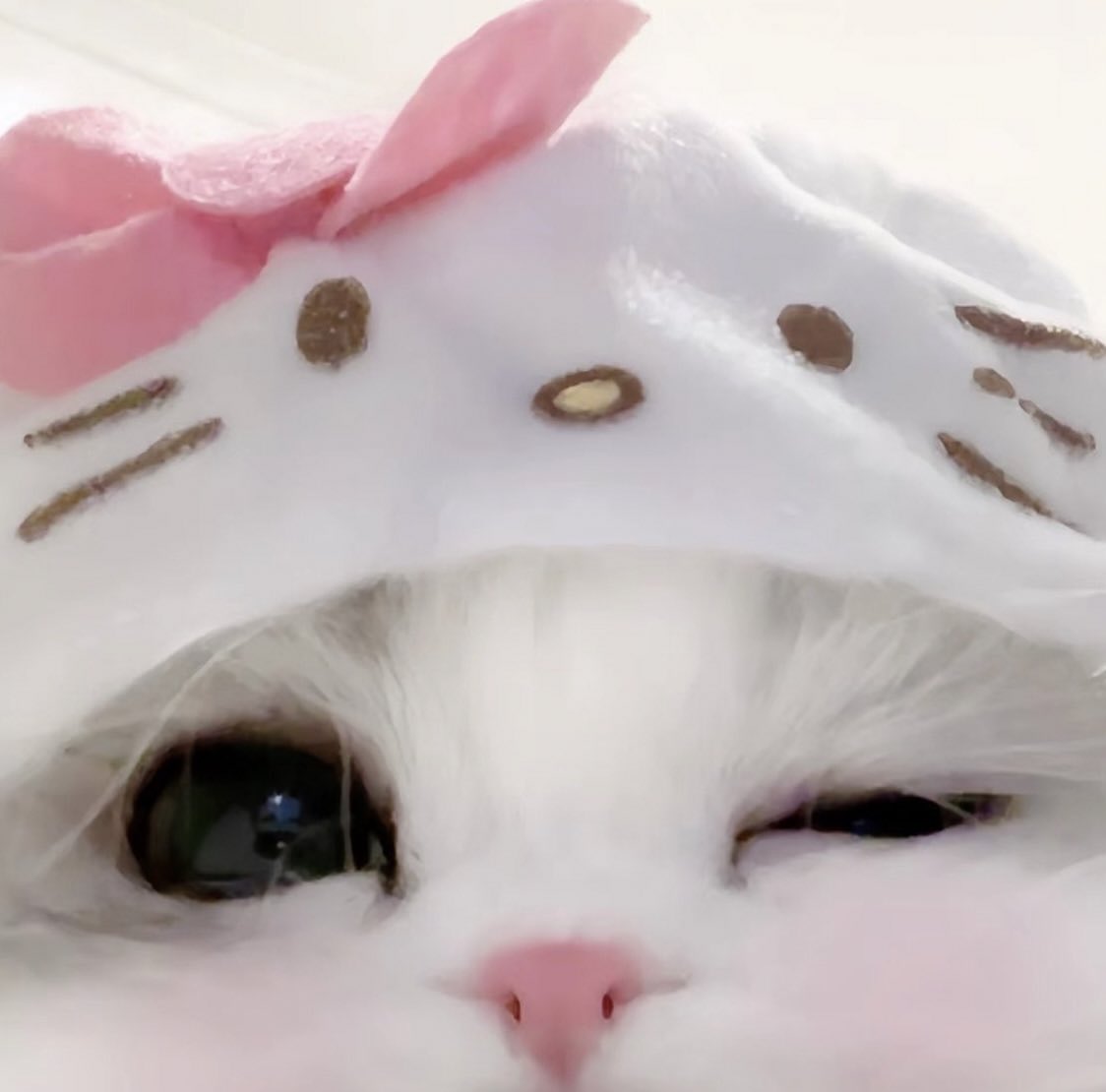 ˚ʚ♡ɞ˚ (@lovelycutedaily) on Twitter photo 