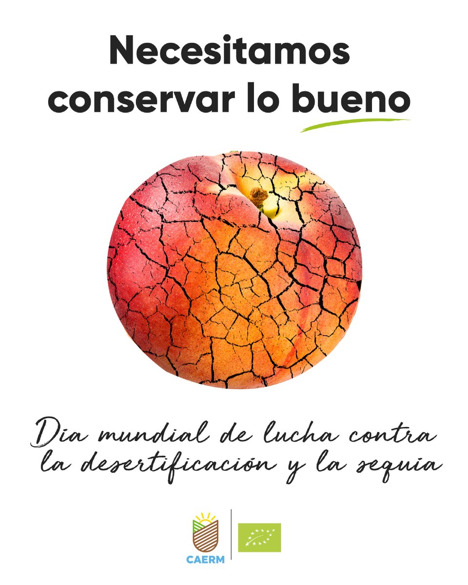 Necesitamos conservar lo bueno 🌍

"Una tierra con buen estado nos proporciona casi el 95% de los alimentos, nos da cobijo, nos proporciona trabajo y medios de subsistencia, y nos protege frente a sequías, inundaciones e incendios forestales."

#DíamundialContralaDesertificación
