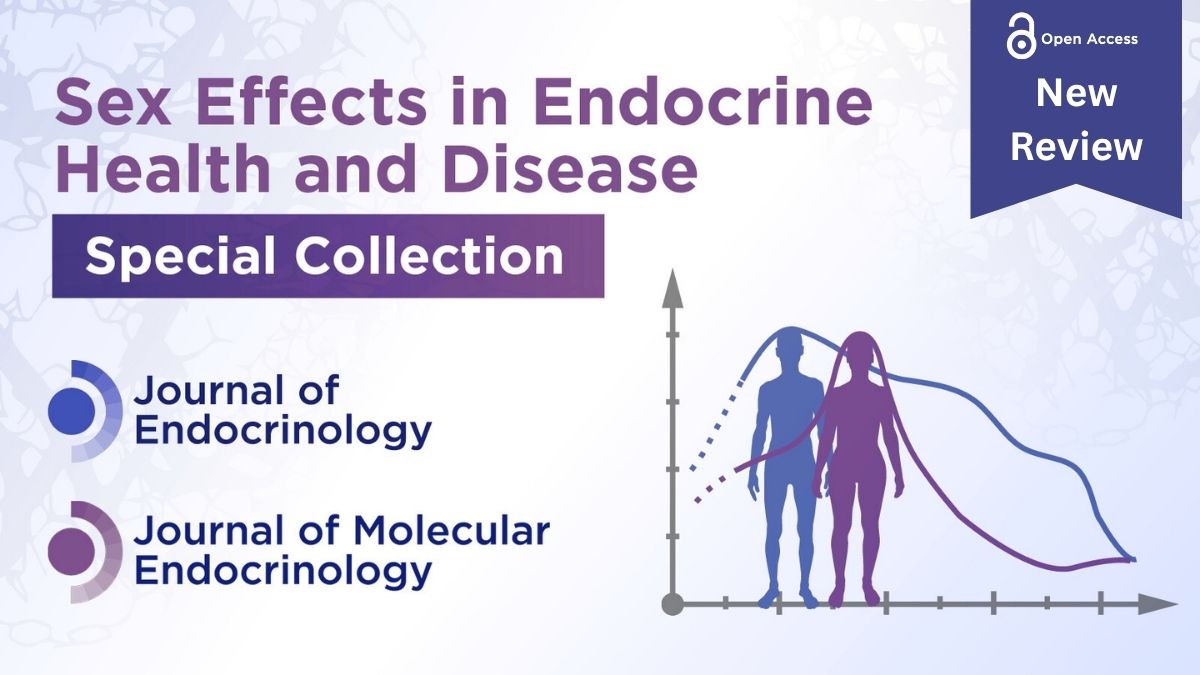 JEndocrinology's tweet image. Discover how preventive #cardiovascular care could be improved for females in this latest review by Thulani Ashcroft et al.
⭐️Published in the Sex Effects in Endocrine Health and Disease special collection: joe.bioscientifica.com/page/sex-effec…
Read the full article👉doi.org/10.1530/JOE-25…