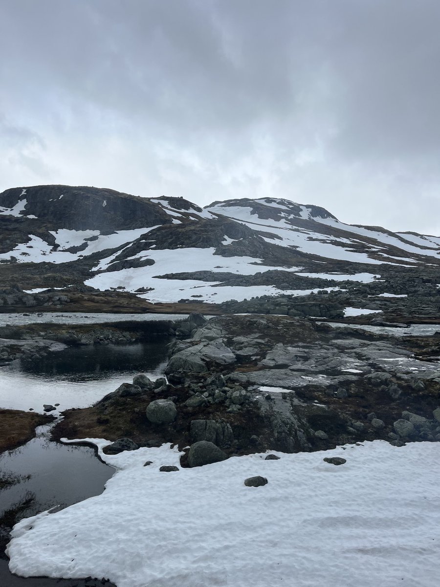 Have a beautiful day ☕️🕊️
#Norway