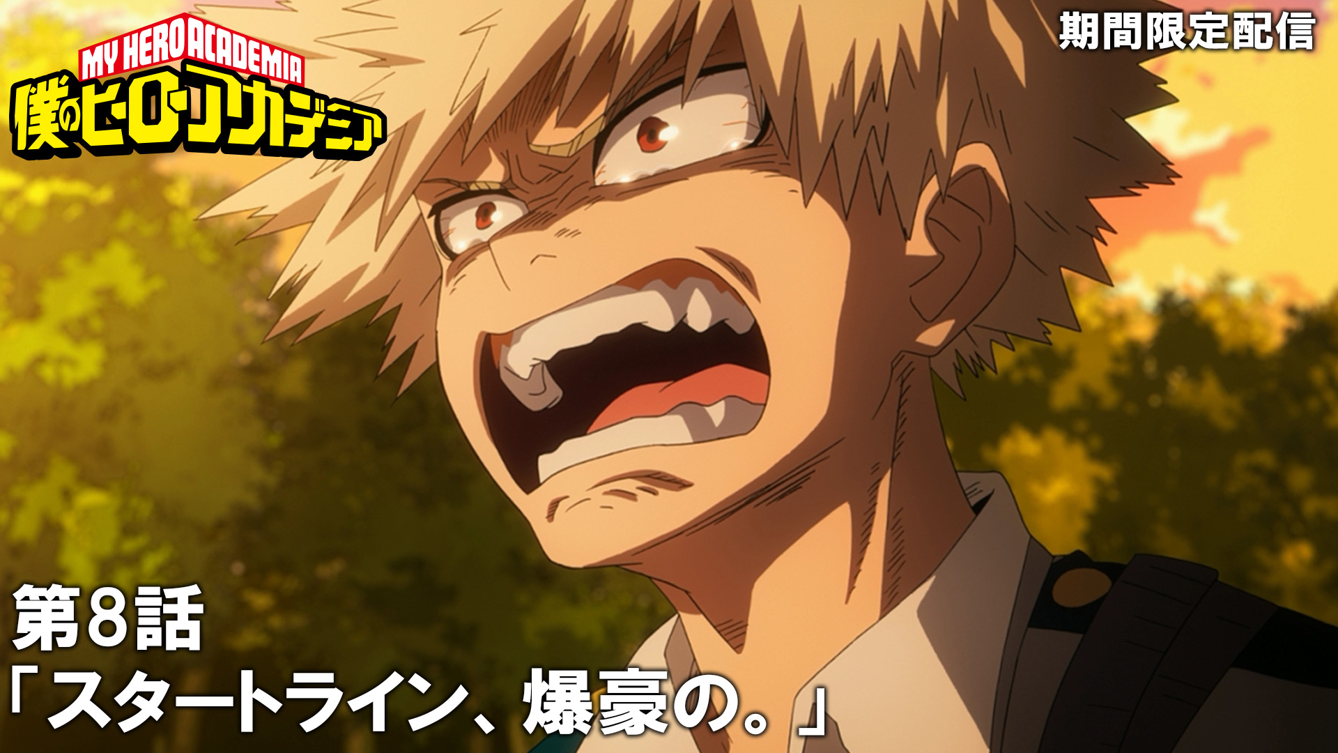 僕のヒーローアカデミア 連載開始号 My Hero Academia
