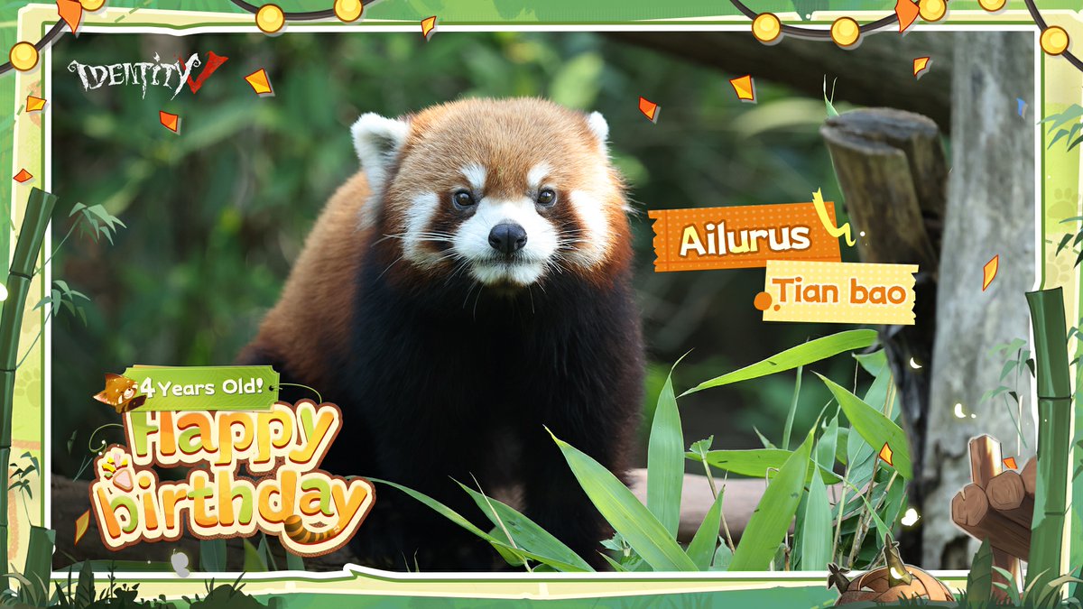 GameIdentityV's tweet photo. Dear Visitors,
Happy 4th Birthday to our lovely Ailurus - Tian wu, Tian yu, Tian qi, Tian bao.
We were proud to support their life. Wishing these adorable little ones health, happiness, and endless food!
#IdentityV #Ailurus https://t.co/CJcfjwYTfv