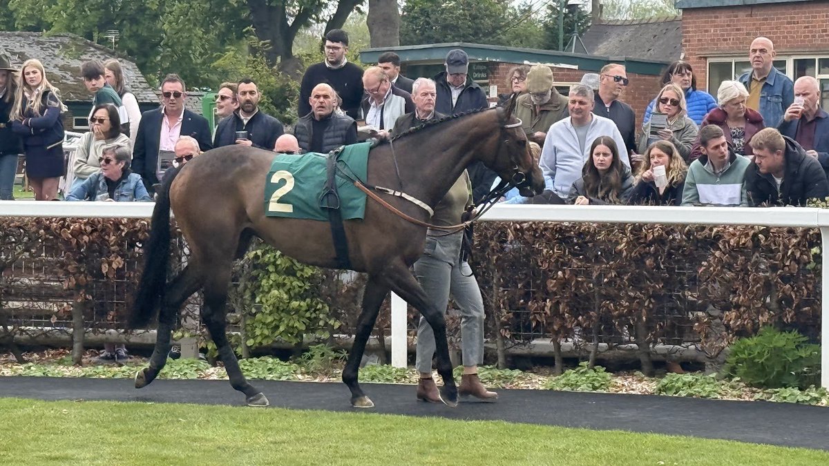 Doon1976's tweet photo. A return to @RiponRaces for #ArkInTheStars on Thursday in the 1m4f Handicap for 3yo's.
@samjock22 takes the ride https://t.co/oAztXPfIqi